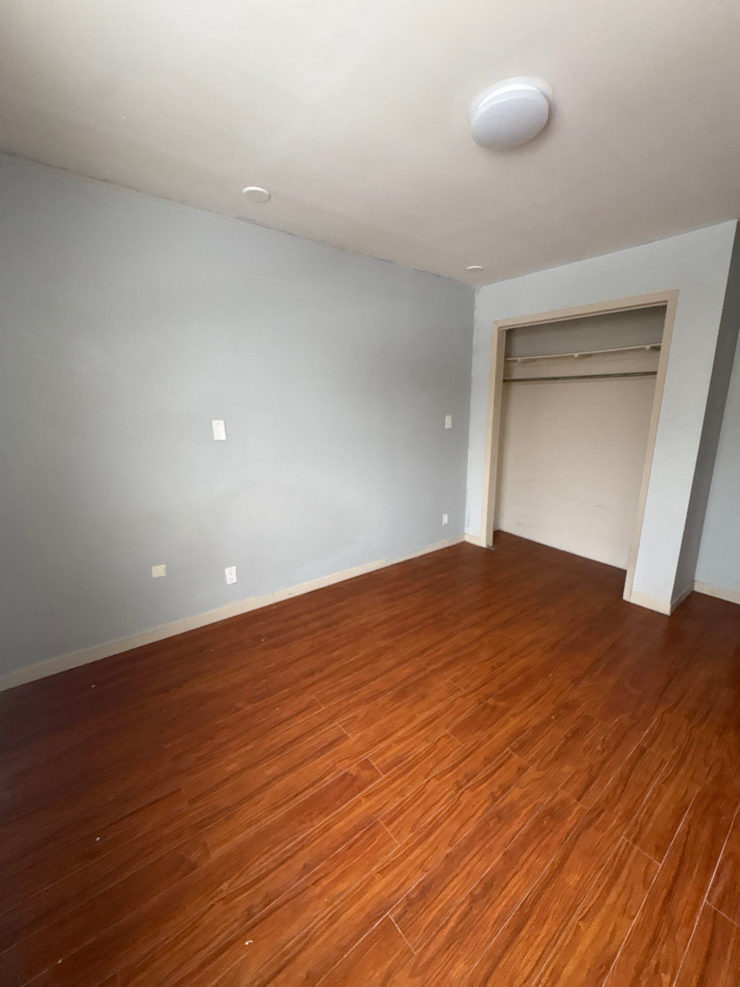 78 Havelock Street - 2